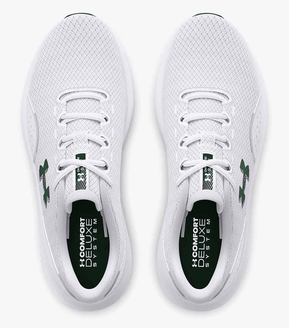 Under Armour Churged Surge 4